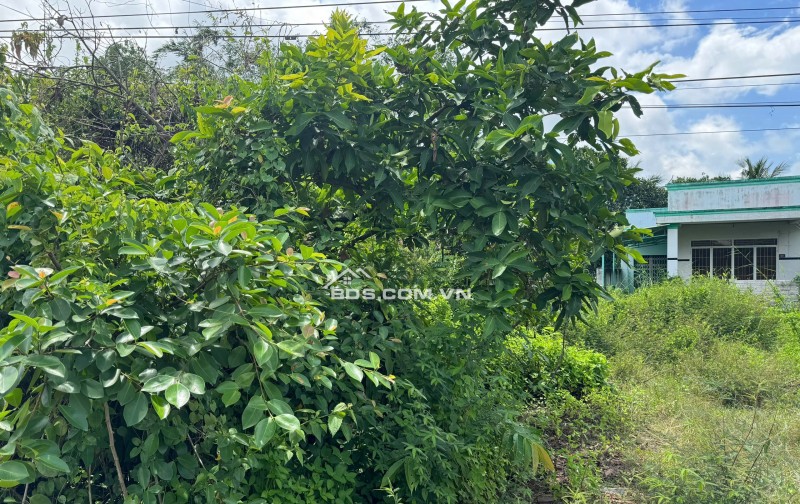 Bán Đất Chính Chủ Ấp Trà Sim, Xã Ninh Điền, Châu Thành, Tây Ninh - Giá Tốt Đầu Tư